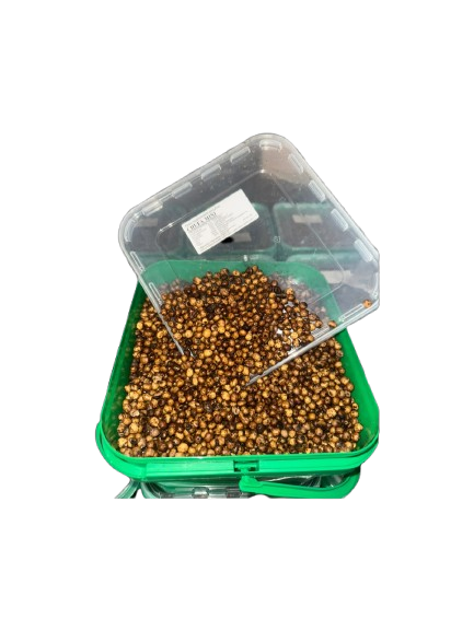 Noix tigrées Quality Seeds mini-5kg