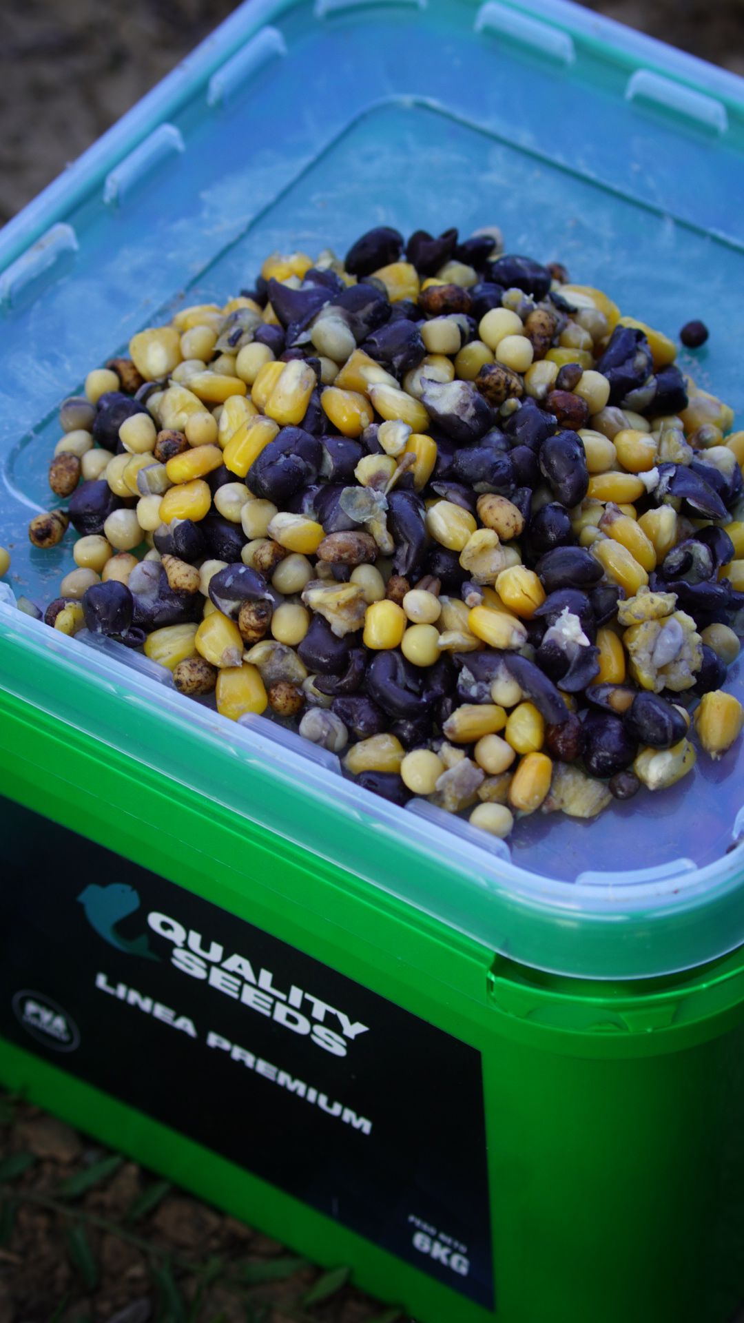 Mélanger les cubes Graine Quality Seeds Classic 6 kg