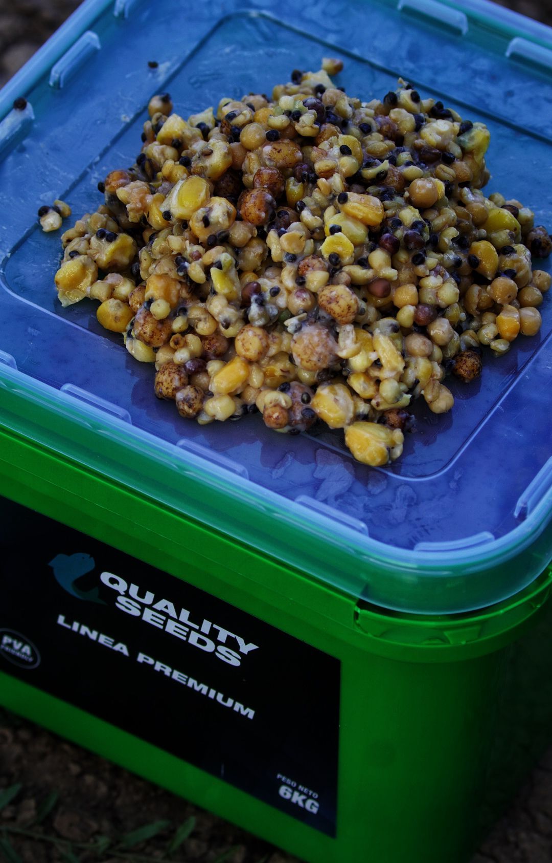 Mélanger les cubes Graine Quality Seeds Été 6 kg