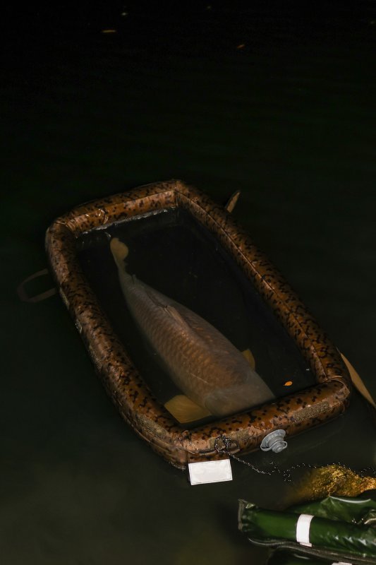 Cuna inflable Solar SP C - Tech - Tienda Carpfishing