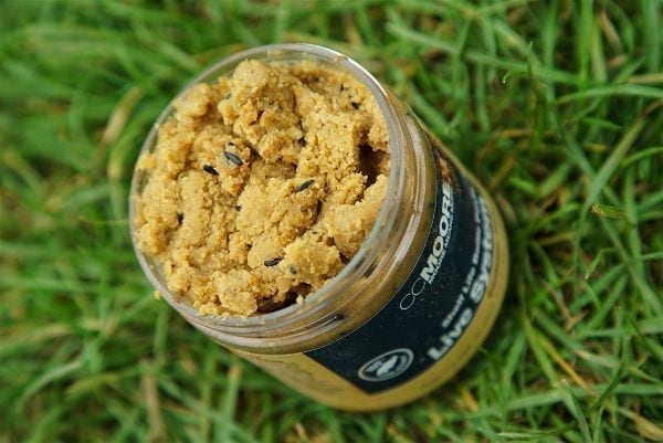 Pasta Live System Shelf Life Ccmoore carp