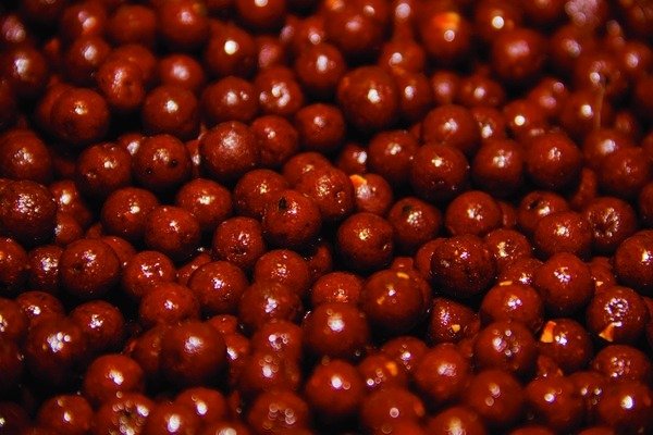 Boilies Dynamite Baits Source 12 mm - Tienda Carpfishing