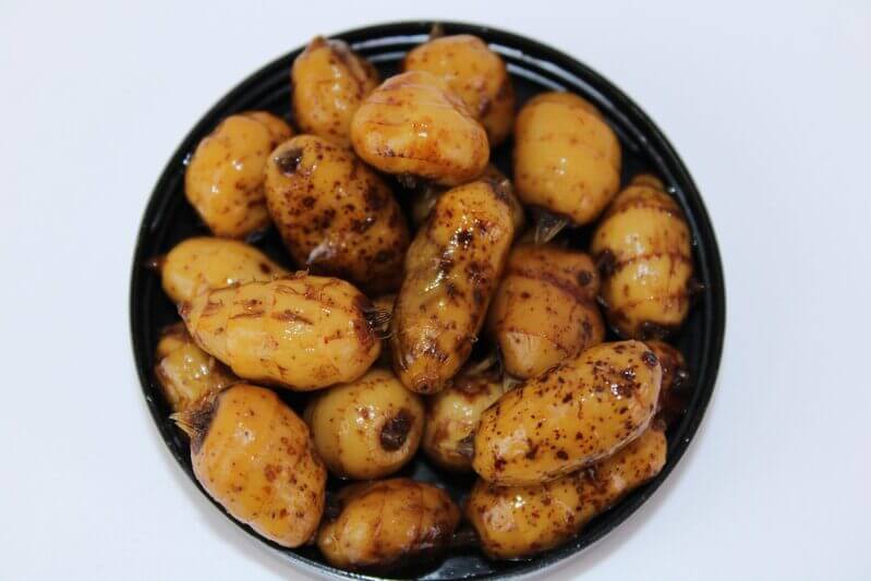 Chufas XXL Pro Elite Baits Gold Antartic Krill - Tienda Carpfishing