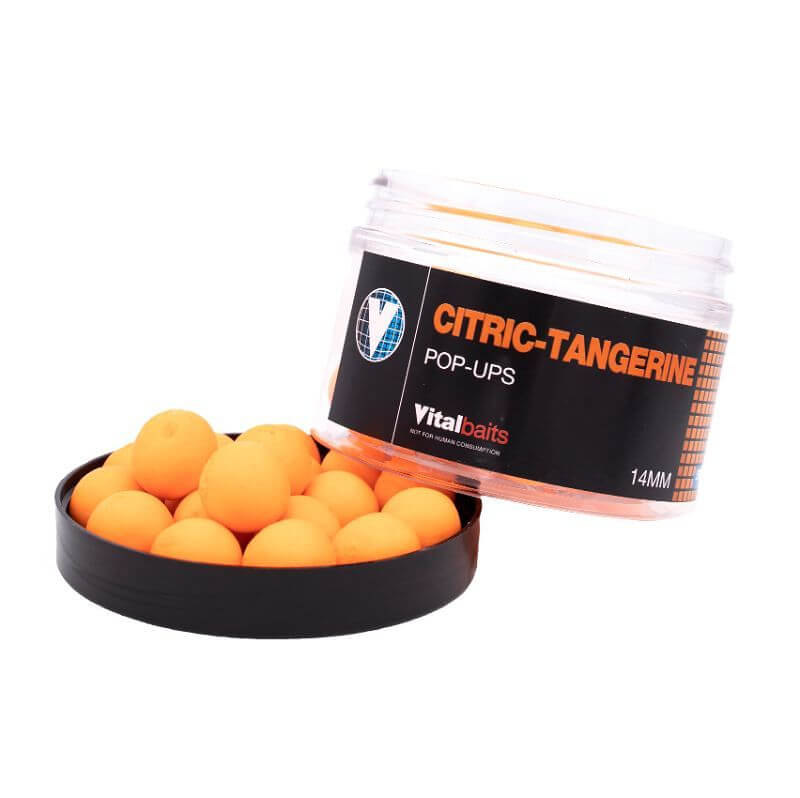 Pop ups Vitalbaits Citrus Tangerine 18 mm - Tienda Carpfishing