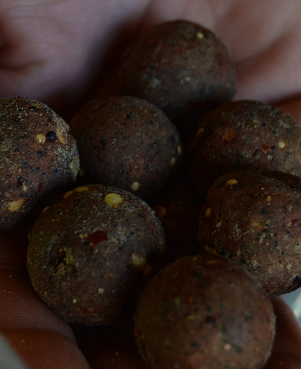 Bouillette Vitalbaits Calidum 24 mm
