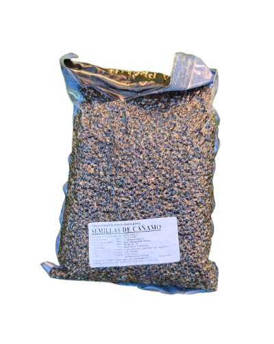 Chanvre Quality Seeds