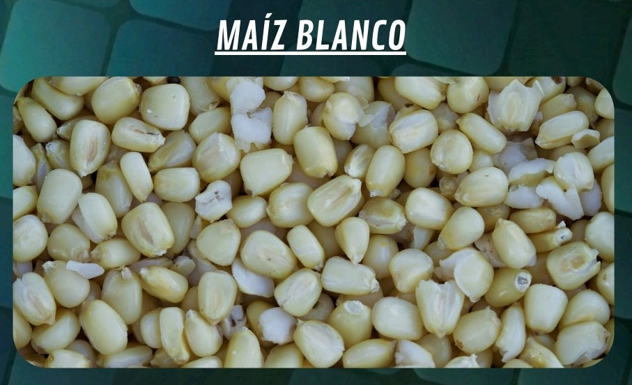 Seau à maïs Quality Seeds Blanc 6kg
