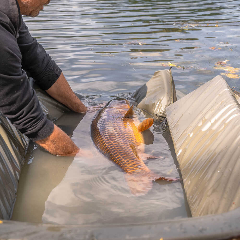 Tapis Avid Carp Berceau de luxe PRO-Tect