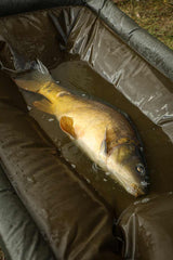 Berceau Fox Maître Carpe