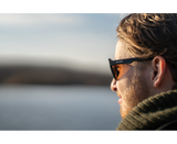 Gafas de sol polarizadas Avid Carp Classic - Tienda Carpfishing