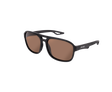 Gafas de sol polarizadas Avid Carp Classic - Tienda Carpfishing
