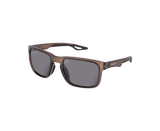 Lunettes Polarisantes Avid Carp SeeThru Mirage