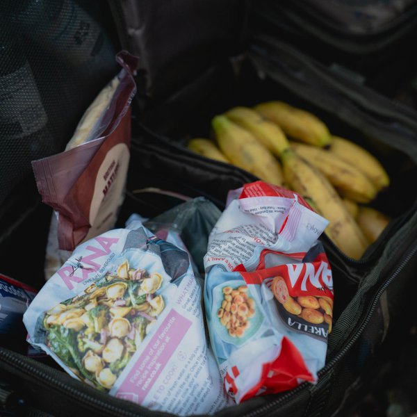 Sac thermique Nash Subterfuge pour aliments 20L