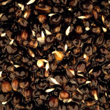 Mélange Cañamon Nash - 2,5 L