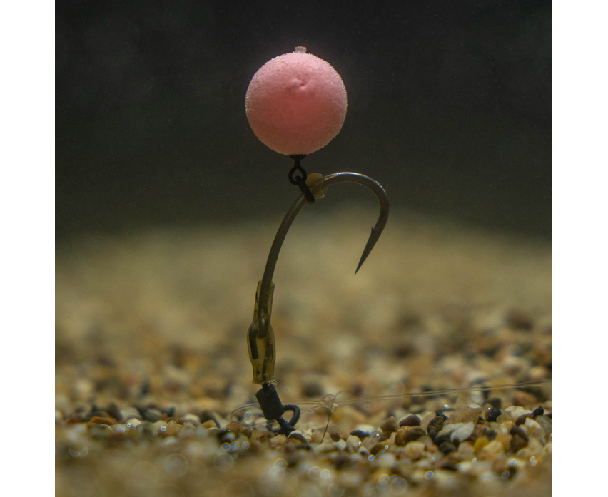 Ronnie Manchon Avid Carp Grand