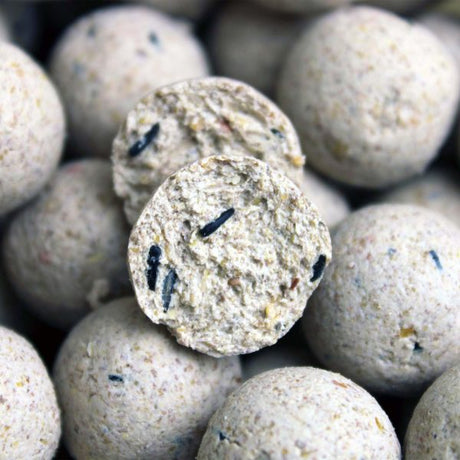 Session Pack Pro Elite Baits Ananas Scopex Blanc