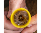 Système de fabrication de sacs pva Avid Carp