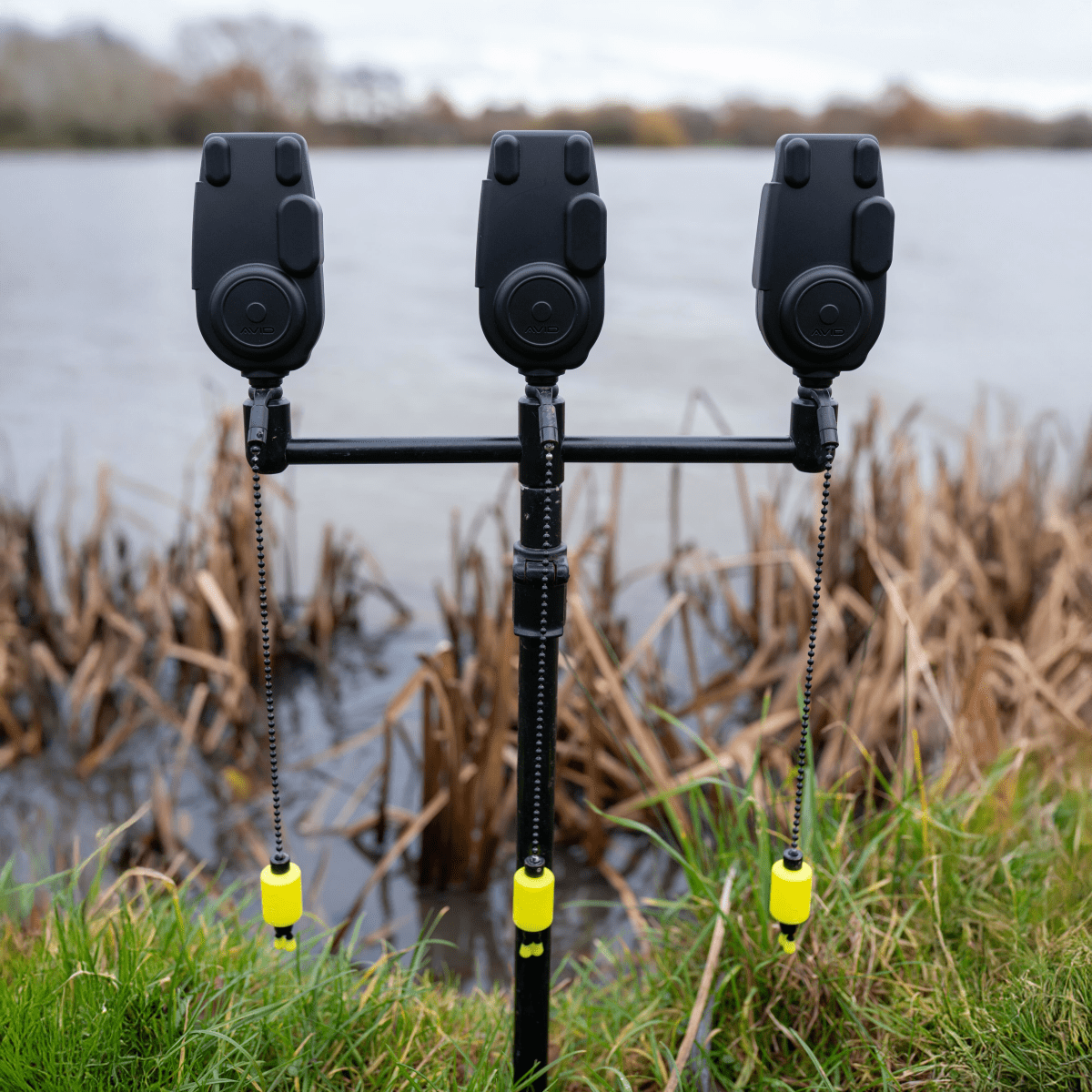 Alarma Avid Carp VTX - Tienda Carpfishing