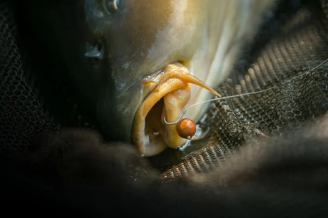 Anzuelos Nash Claw - Tienda Carpfishing