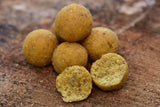 Boilies Dynamite Baits Big Fish Sweet Tiger Corn 20 mm - Tienda Carpfishing