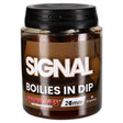 Boilies in Dip Starbaits Signal 20 mm - Tienda Carpfishing