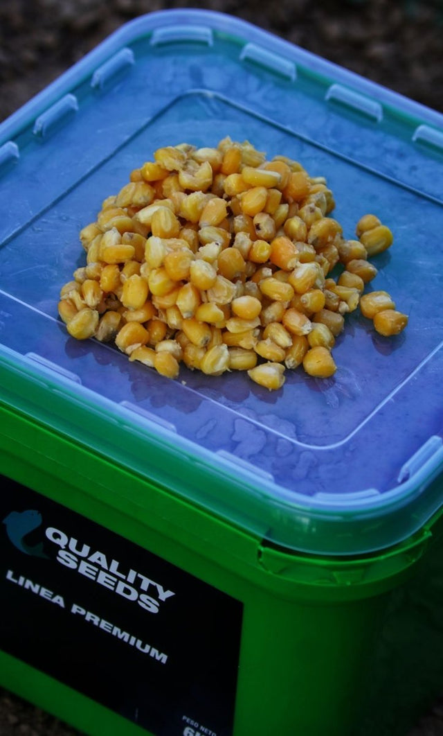 Cubo Maiz Quality Seeds Amarillo 6 kg - Tienda Carpfishing