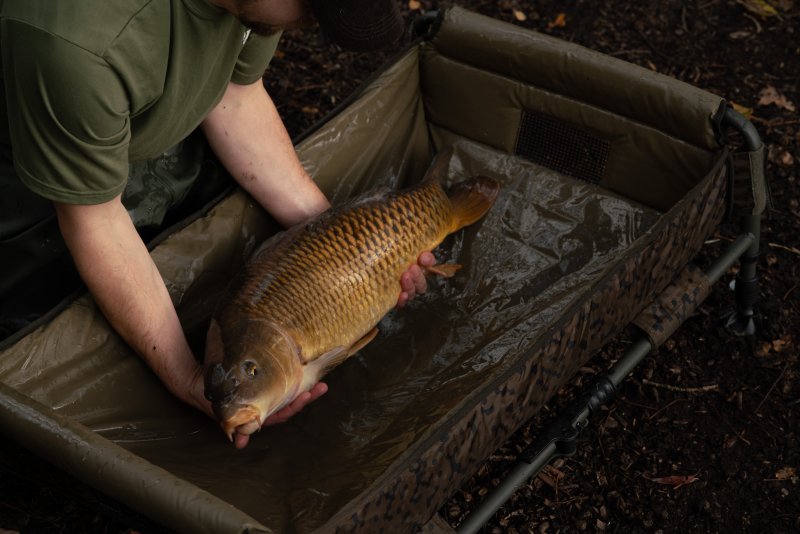 Cuna Solar SP C - Tech Quick Up - Tienda Carpfishing