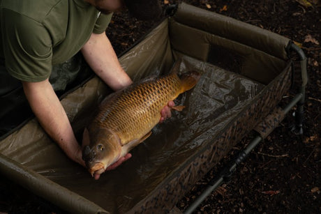 Cuna Solar SP C - Tech Quick Up - Tienda Carpfishing