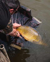 Moqueta Fox Camolite - Tienda Carpfishing