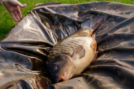 Moqueta Nash Carp Care Deluxe XL - Tienda Carpfishing
