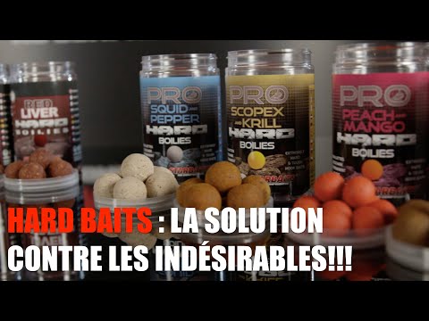 Bouillette Starbaits Appât de masse Spicy Saumon 20 mm 3 kg