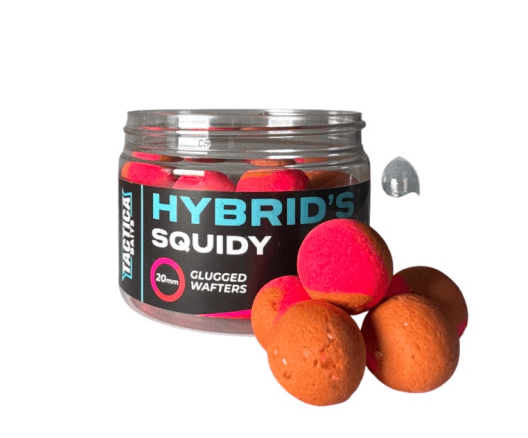 Wafters Tactica Baits Hybrids Squidy 20 mm - Tienda Carpfishing