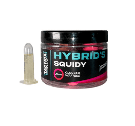 Wafters Tactica Baits Hybrids Squidy 20 mm - Tienda Carpfishing