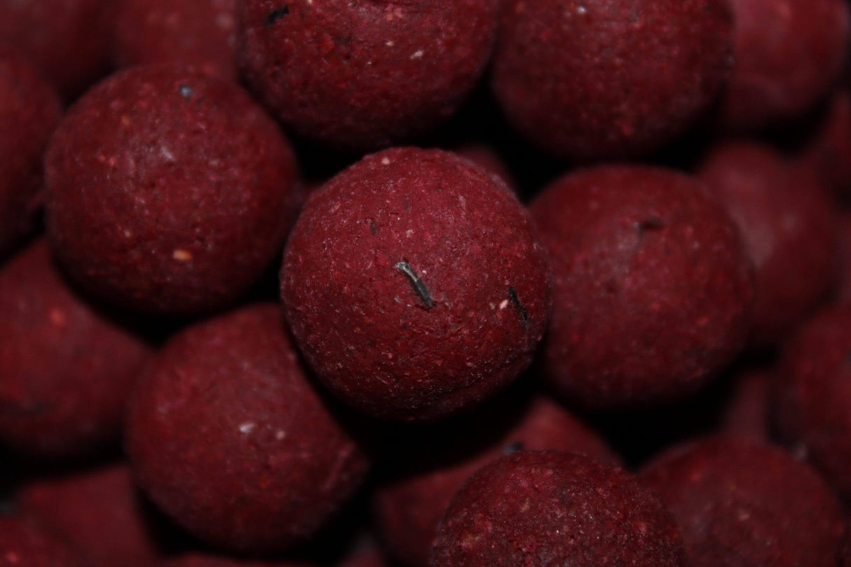 Boilies Pro Elite Baits Bloody Mulberry 20mm 1