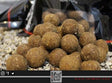 Boilies trybion stracto