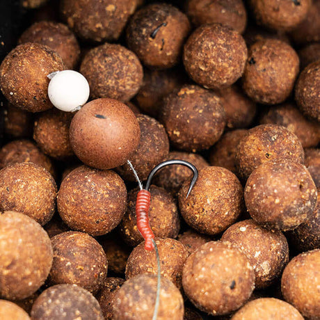 Bloodliner Aligner OMC Dazzlers L - Tienda Carpfishing