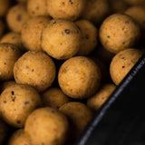 Boilies Mainline Cell 20 mm - Tienda Carpfishing