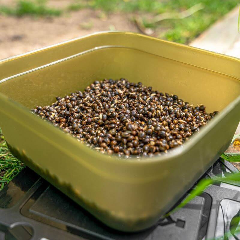 Caja Korum 1,8L - Tienda Carpfishing