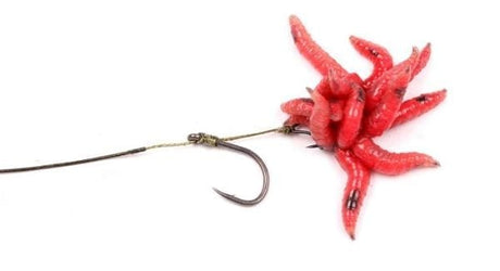 Maggot clips Pequeño Nash - Tienda Carpfishing