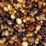 Mix Semilla Nash S - 2,5 L - Tienda Carpfishing