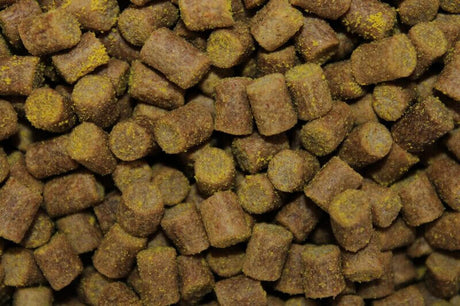 Pellets Pro Elite Baits Gold Sweet Dreams 6 mm - Tienda Carpfishing