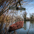 The Rat Bag OMC - Tienda Carpfishing