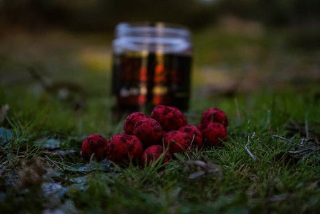 Wafters Pro Elite Baits Gold Robin Red 14 mm - Tienda Carpfishing